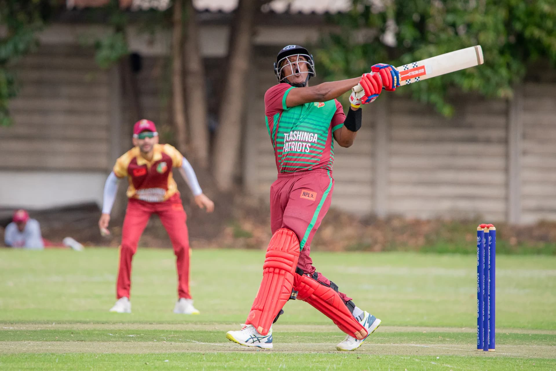 Takashinga gallery image