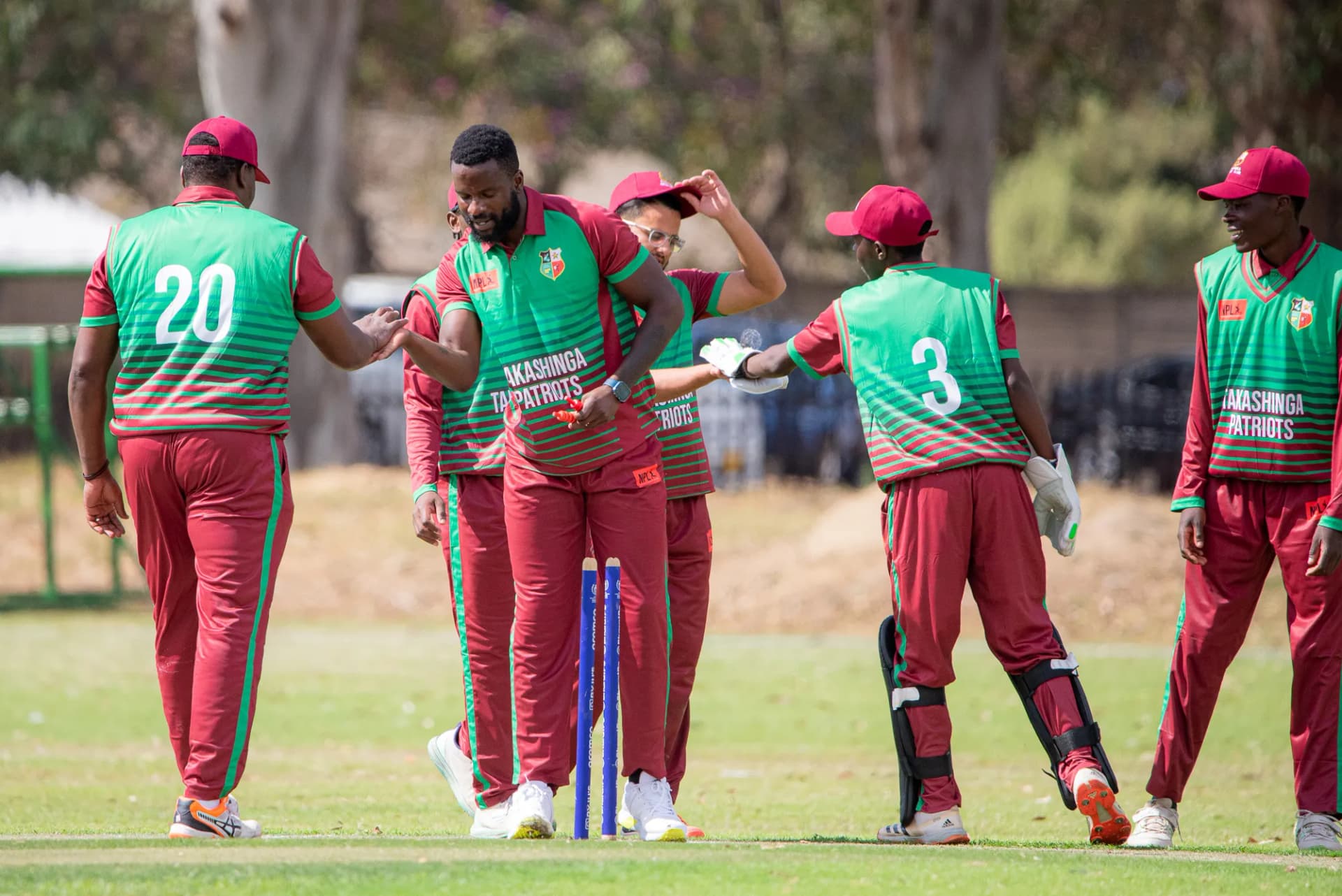 Takashinga gallery image